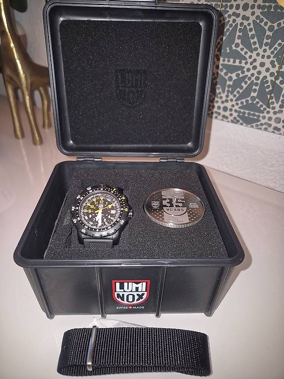 Uhren: Montre luminox – Gebraucht aus Penthaz von jea_92sc 2