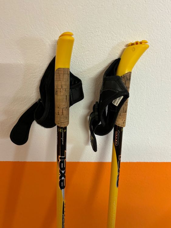 Fischer Sci: Fischer Langlaufski, Stöcke exel, Schuhe Salomon – Usato da Bern venduto da raumsicht 5