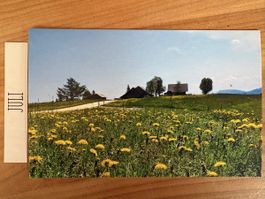 AK von Alpwirtschaft Hinterarni bei Wasen im Emmental