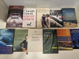 11-teiliges Bücherpaket: Schweizer Literatur