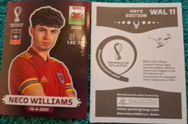 PANINI Sticker WM 2022 - Qatar - Fussball
