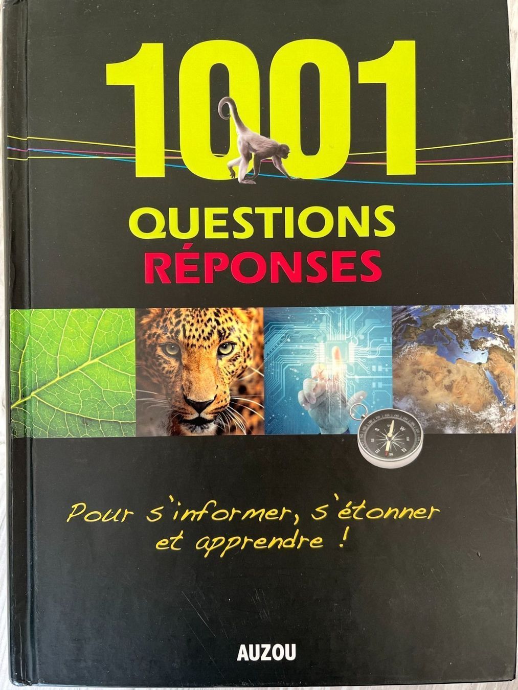 Libri: 1001 questions réponses – Usato da Court venduto da Style_ambre