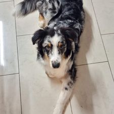 Profile image of candy025