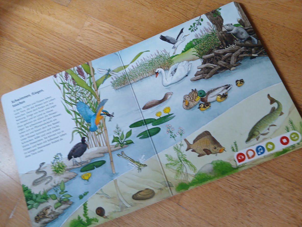 Libri: Tip Toi Buch Bilderlexikon Tiere – Usato da Dübendorf venduto da Fip05 2