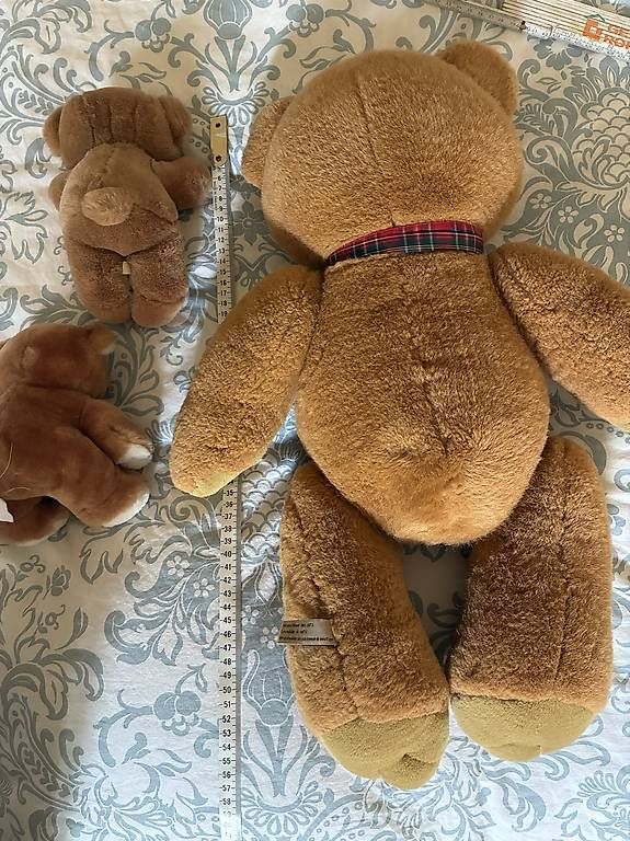 Giocattoli: Ours en peluche – Usato da Préverenges venduto da Alexmar 4