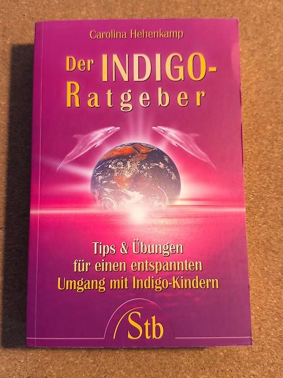 Libri: Buch: "Der Indigo-Radgeber"  – Usato da Weisslingen venduto da Cy