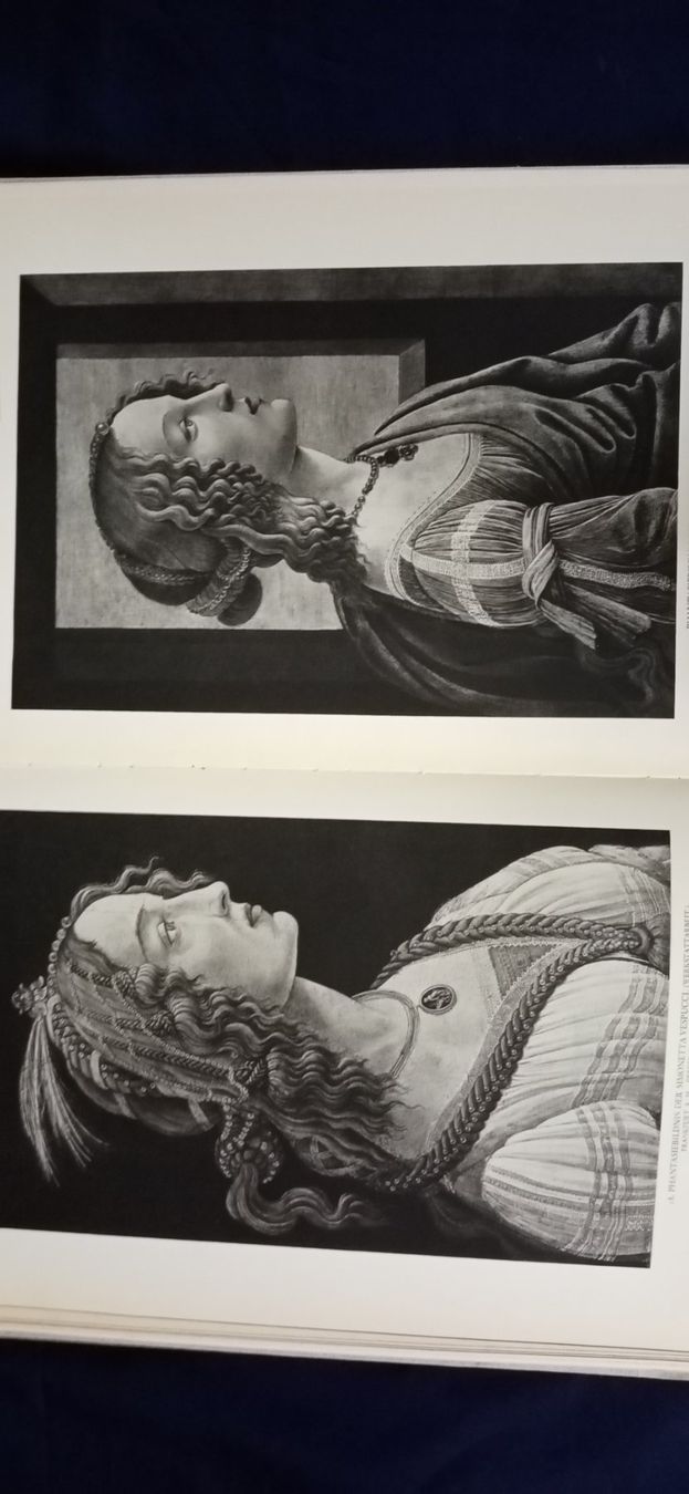 Libri: Botticelli , Bildband – Nuovo (secondo la descrizione) da Büsingen venduto da Flohminator 6