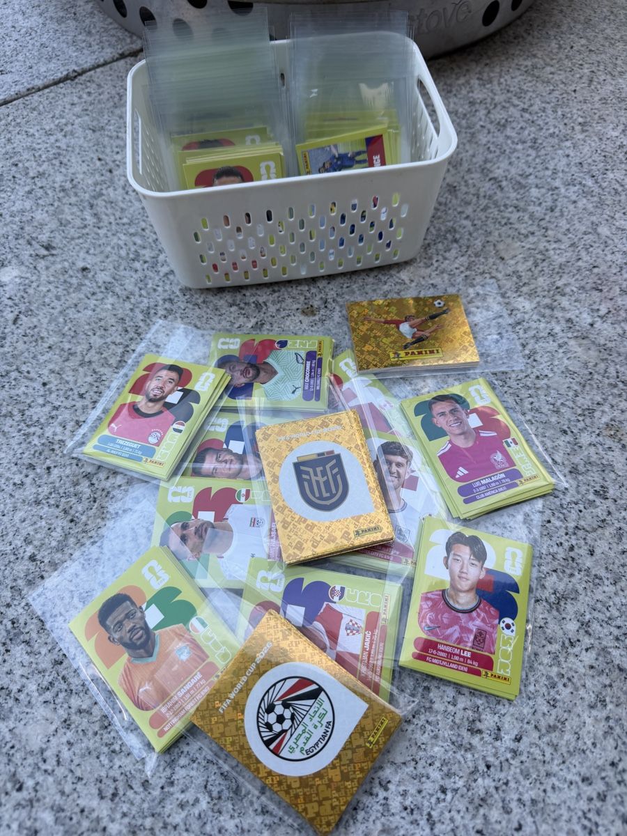 Panini Carte collezionabili: Panini Bilder – Nuovo (secondo la descrizione) da Neukirch an der thur venduto da Lorena.fiio