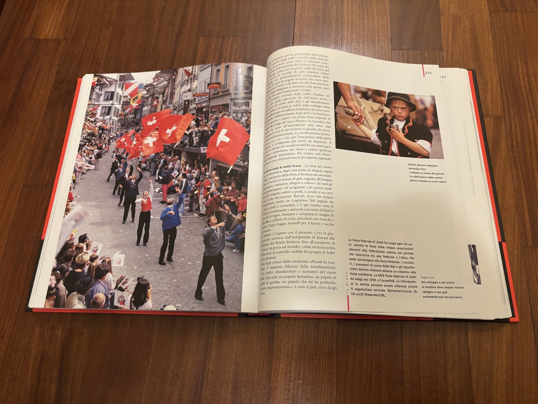 Libri: Alpi in Festa – Usato da Lugano venduto da Mark_Young 2