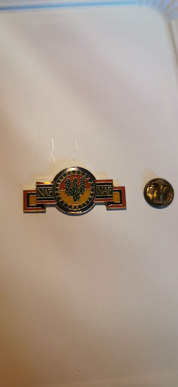 Plaquettes & Badges: Pin NAF NAF – D'occasion à Genève par vins50