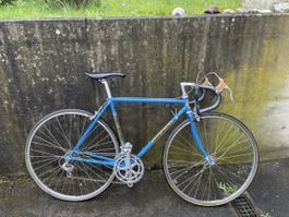 Koga Miyata Rennrad! Blau/Gold Vintage Renner