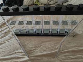 Vitrine pour figurines LEGO