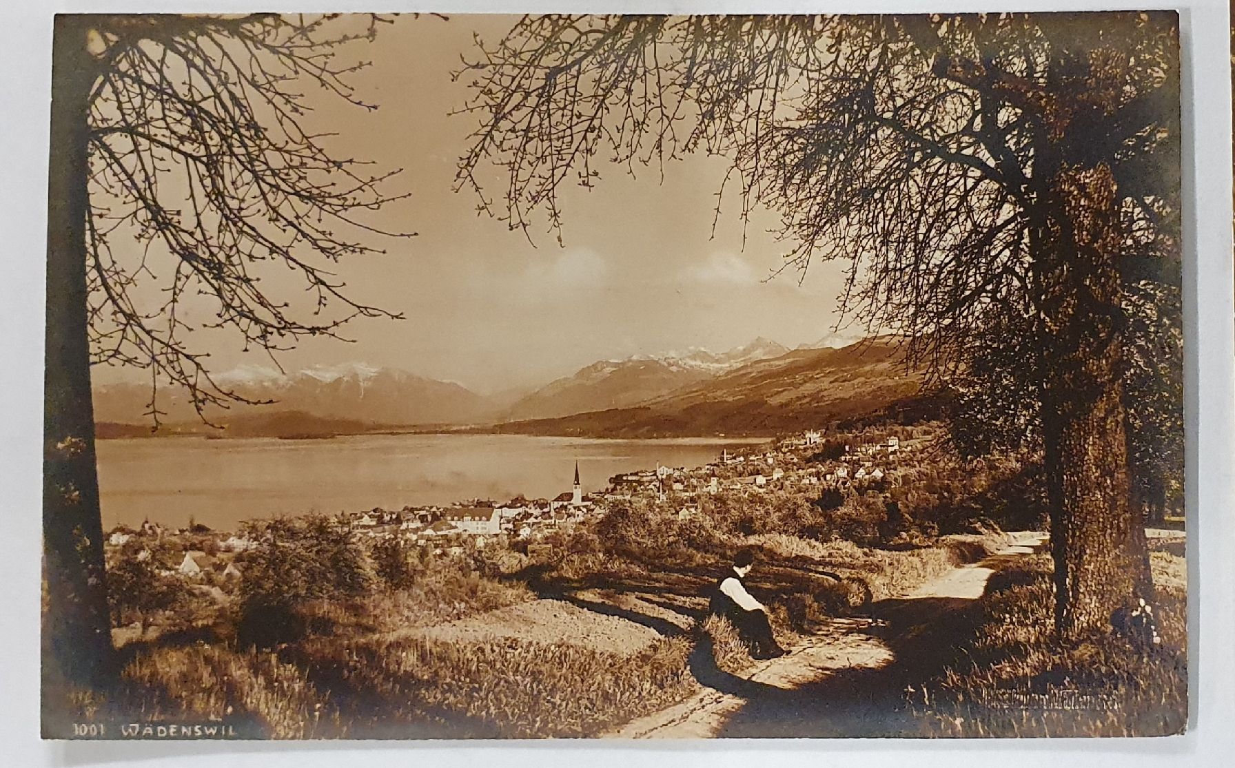 Cartoline postali: 4 alte Ansichtskarten Wädenswil – Usato da Kreuzlingen venduto da Rschweiz1 4