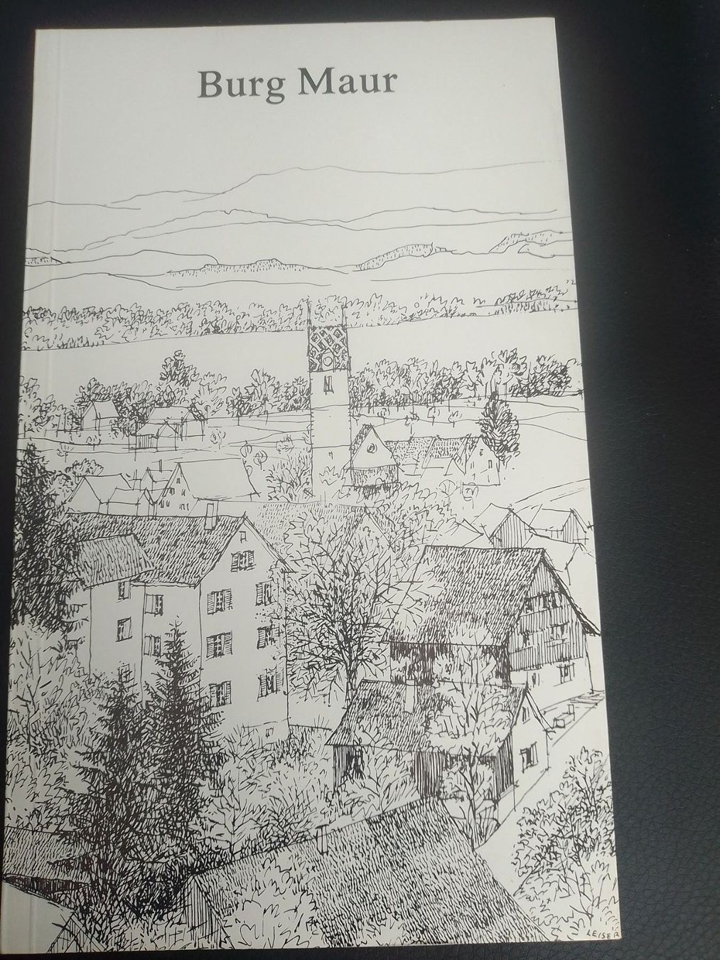 Libri: Burg Maur – Usato da Bassersdorf venduto da elm_f9sw