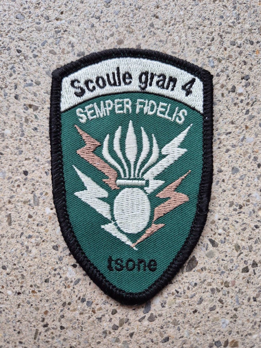 Schweizer Armee Placchette & Badge: *** Badge Scuole grand 4 Isone *** – Nuovo (secondo la descrizione) da Riedholz venduto da fr_sIruP