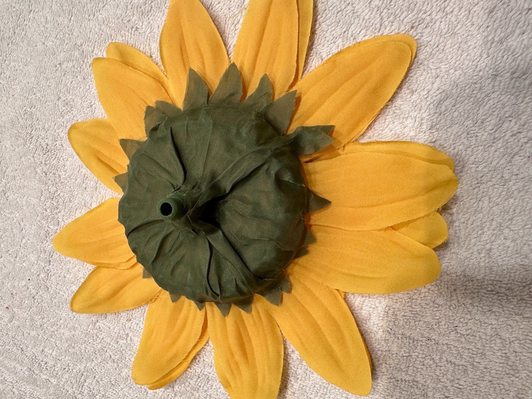 Pflanzen & Samen: Sonnenblumen Köpfe – Gebraucht aus Laupen ZH von Mcafi02 1