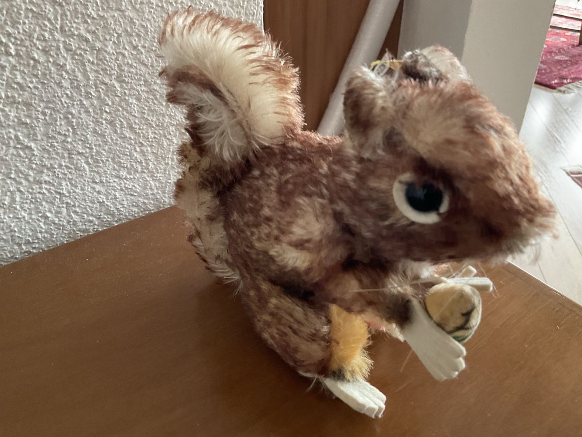 Steiff Giocattoli: Steiffeichörnchen Perry 1960s – Usato da Herbriggen venduto da Sehrazade 4