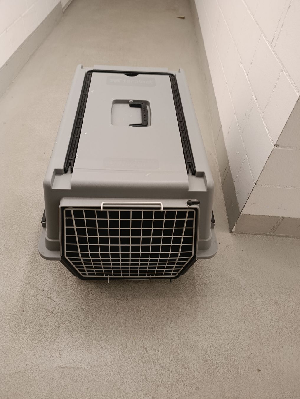 Liege- & Schlafplätze: Transport Box für Tiere  – Gebraucht aus Hinwil von djp_r28f 1
