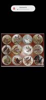 Collection 12 assiettes avec oiseaux du Monde