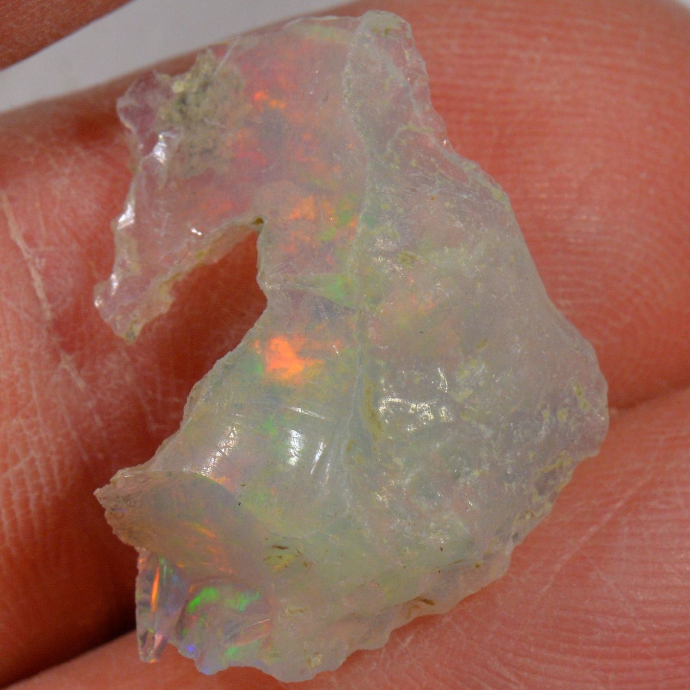 Pietre preziose: 7.6 Karat - Roher Äthiopischer Welo Opal – Nuovo (secondo la descrizione) da Rüti ZH venduto da DeinOpal 2