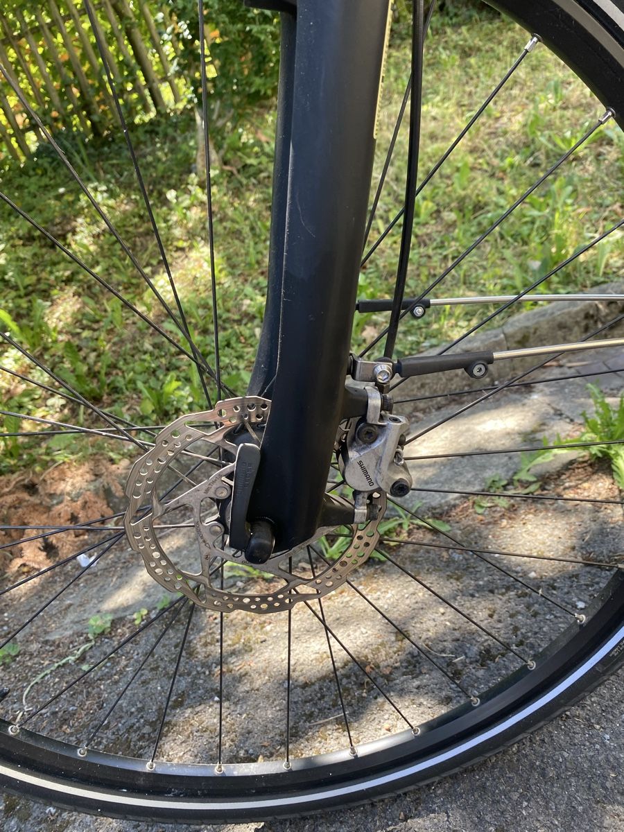Cresta Biciclette: BOSCH CRESTA 25km – Usato da Luzern venduto da Goodmorning_16 6