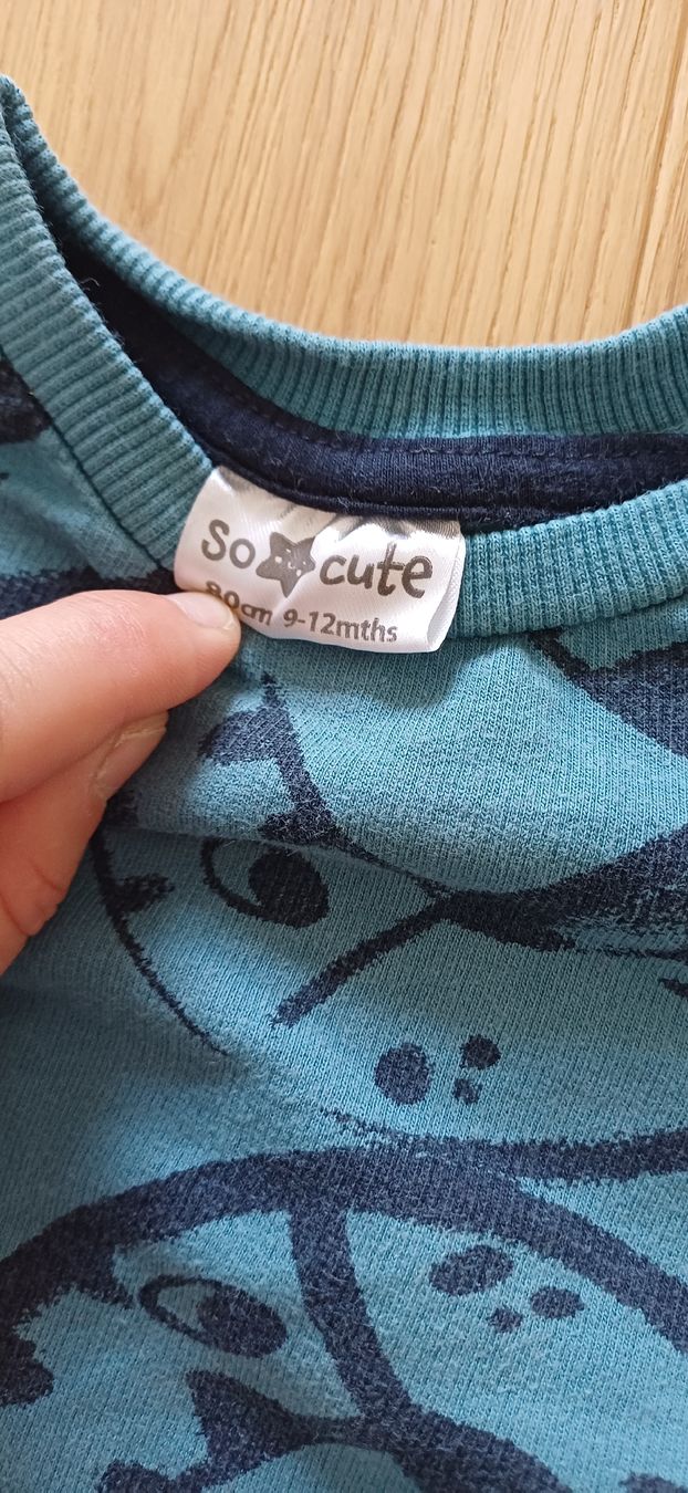 Maglioni & Felpe: Kinder Pullover blau mit Muster akzeptabler Zustand gr.80 – Usato da Riniken venduto da Lessy- 1