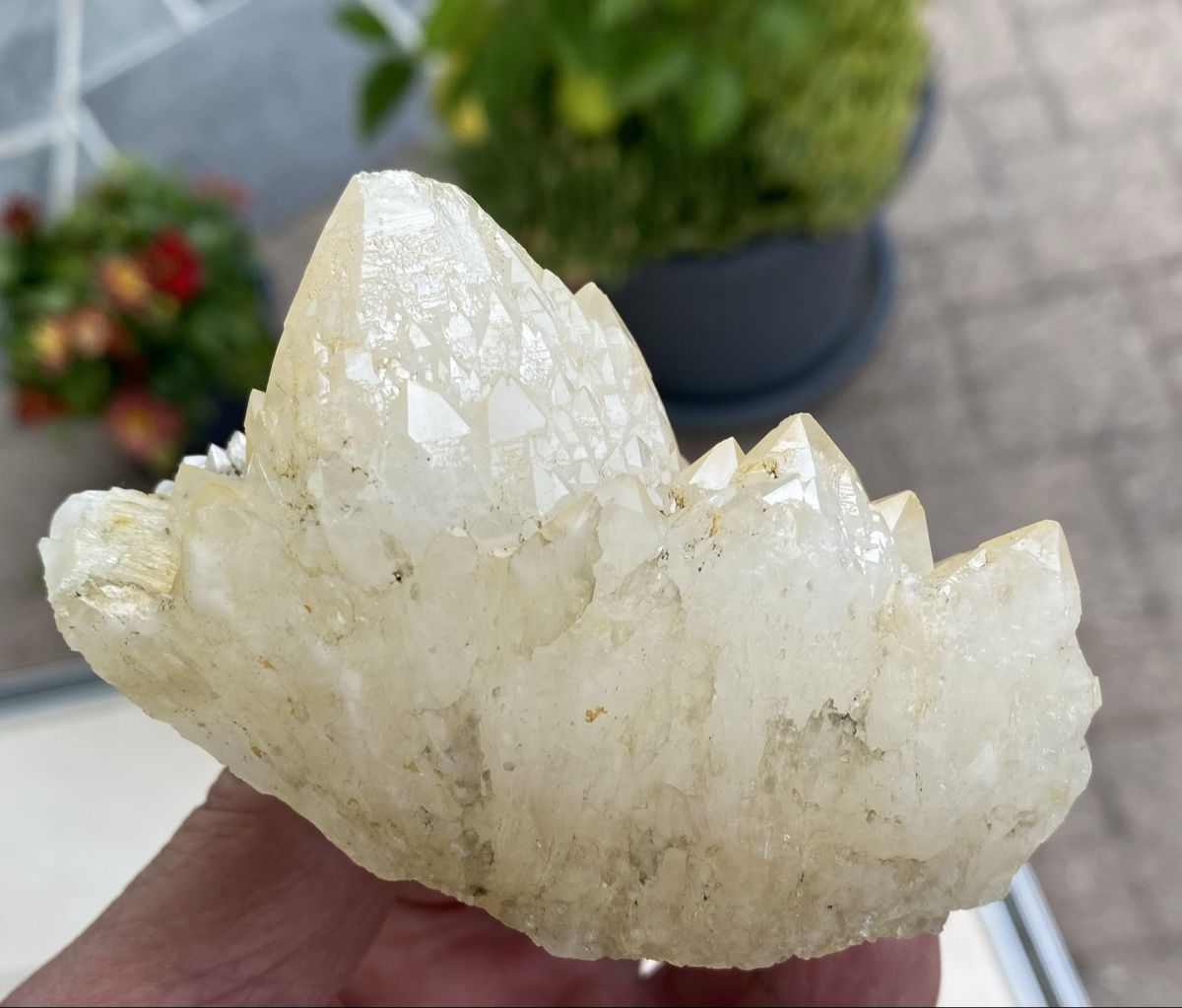 Mineralien & Heilsteine: Schöner Kaktusquarz – Gebraucht aus Selzach von 321compac 1