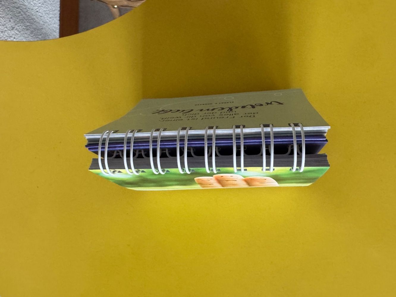 Calendari: Kalender Buch Schutzengel Geschenk – Usato da Steffisburg venduto da smocky17 5