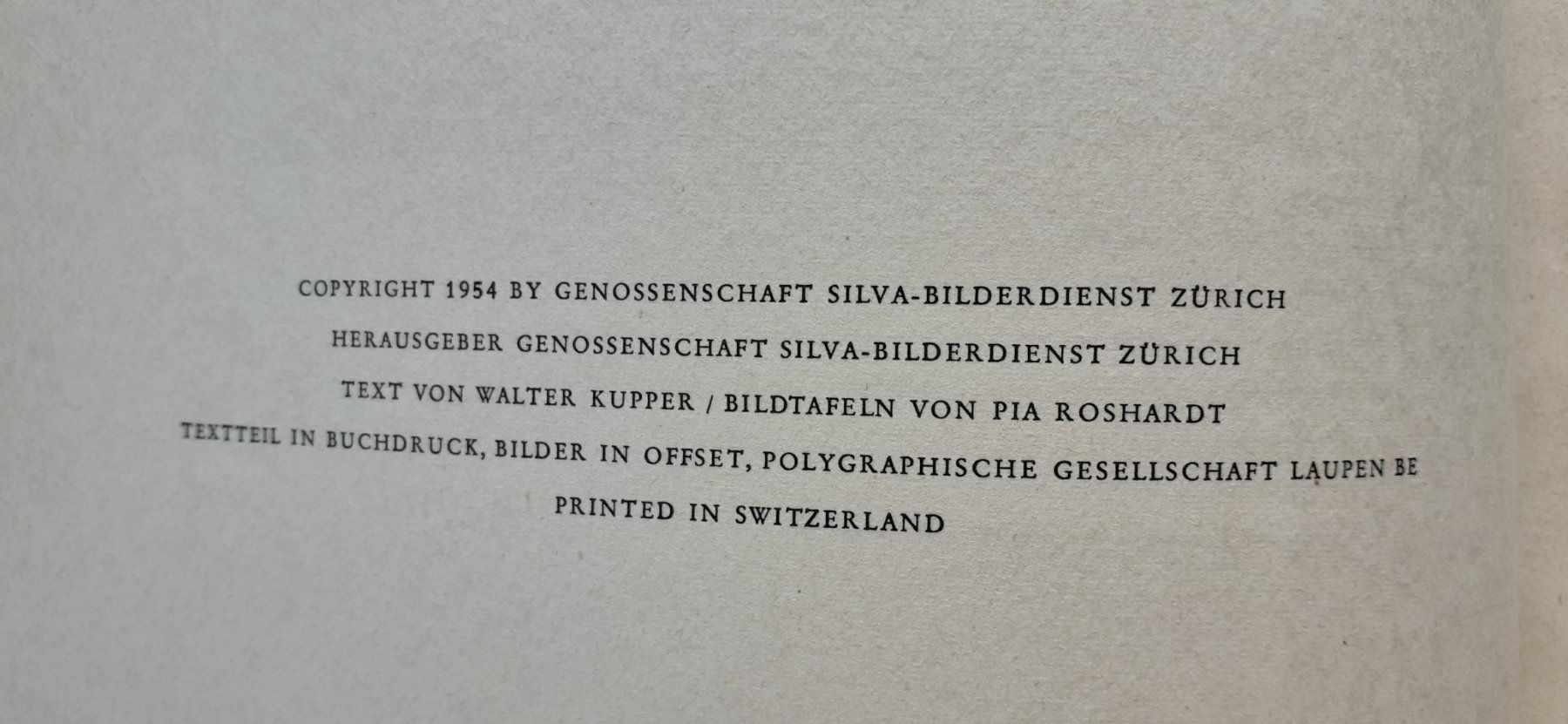 Libri: Kakteen Silva 1954 – Usato da Mörschwil venduto da lindaswunderkiste 3