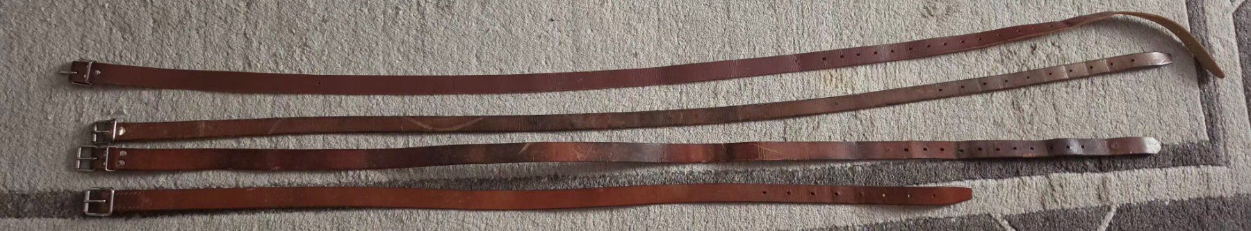 Briglie & Cavezze: Quatre longues sangles. – Usato da Cortaillod venduto da signep 2