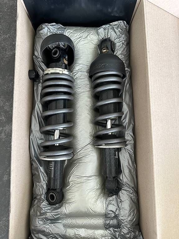 Il mondo degli animali: Hintere Federn Indian Scout 2018 ORIGINAL – Usato da Lausen venduto da dgo_n6y7
