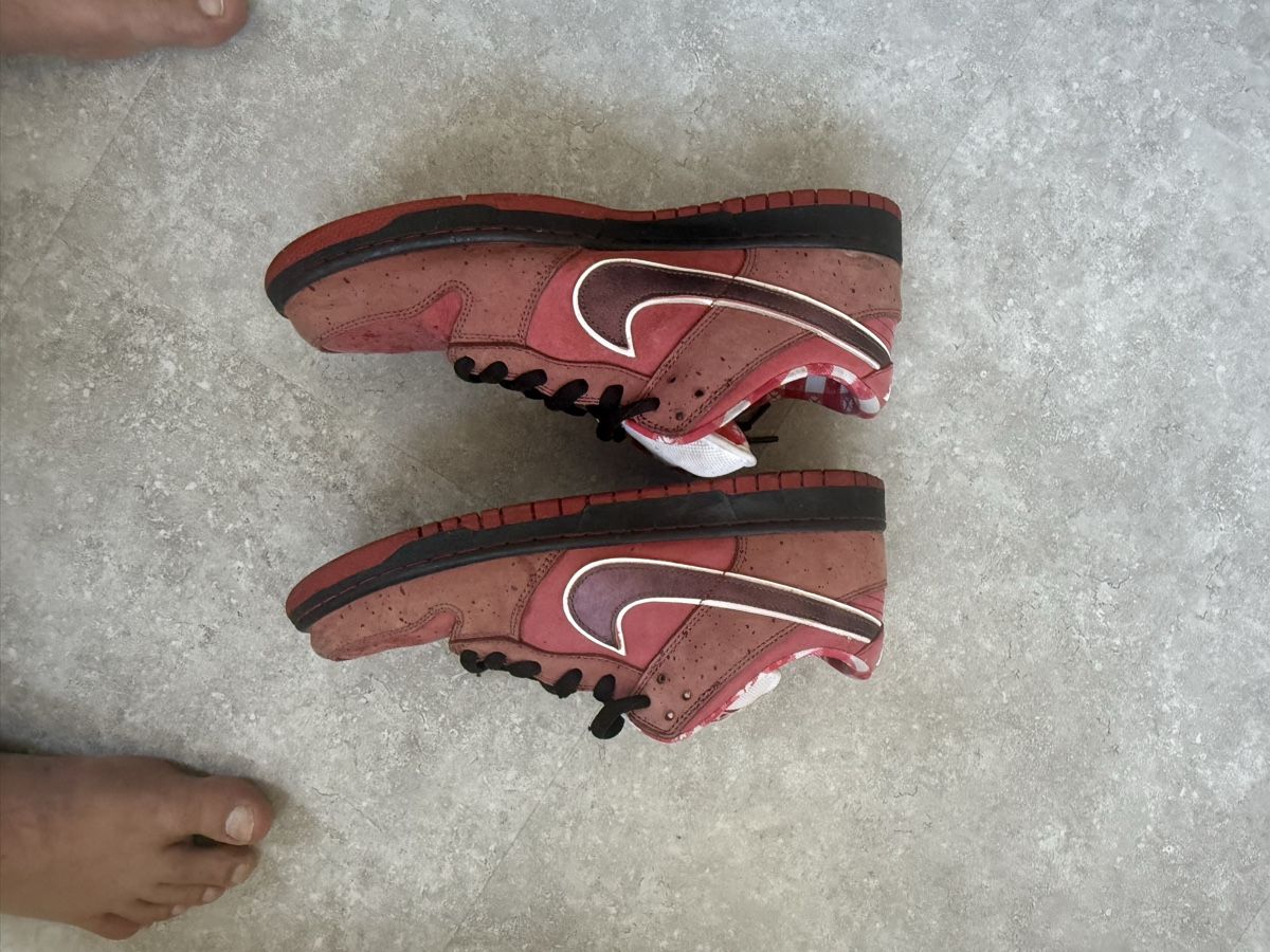 Nike Scarpe da uomo: Nike SB Lobster Red grösse 46 gebraucht – Usato da Wynau venduto da Ziegler_Secondhand 4