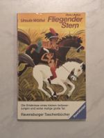 Fliegender Stern von Ursula Wölfel