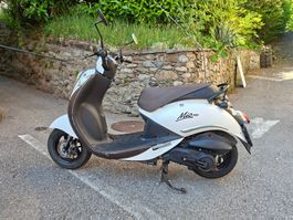 Scooter SYM Mio 100, 15'900km,  läuft einwandfrei
