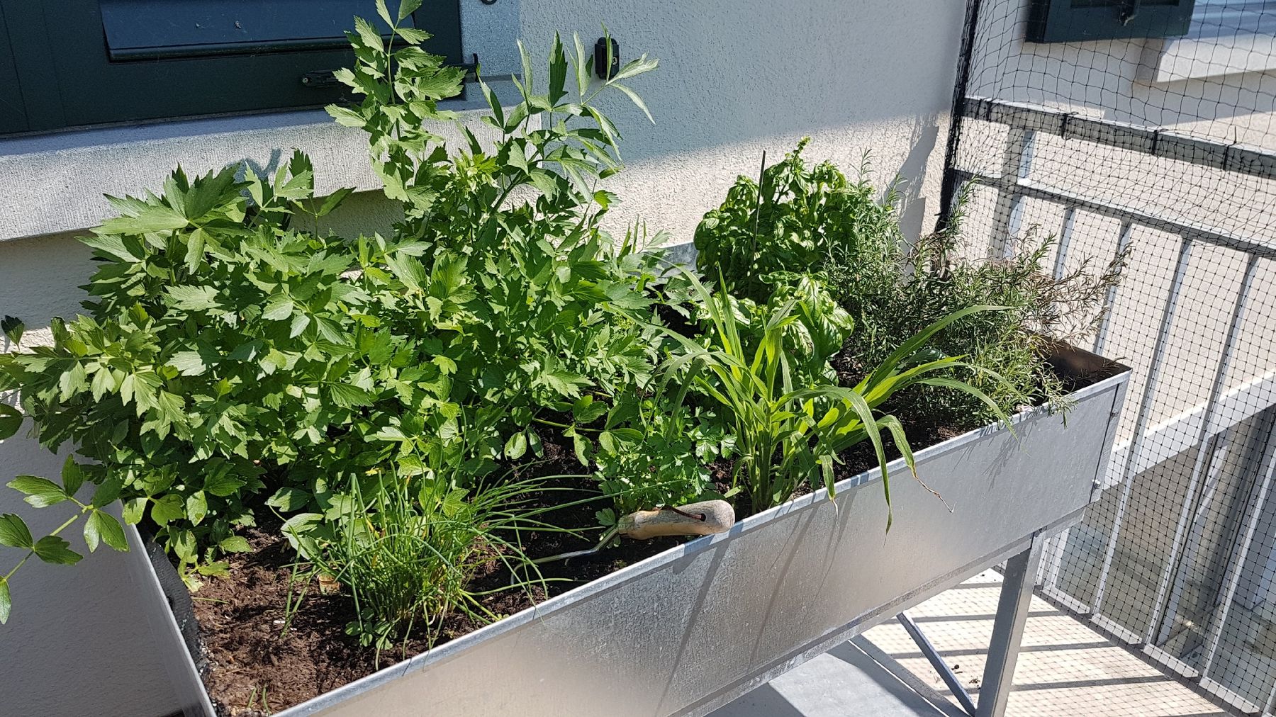 Vasi per fiori: Hochbeet aus verzinktem Stahlblech – Usato da Uster venduto da Cruleye 6
