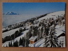 Rigi-Kaltbad, vue hivernale, vintage!