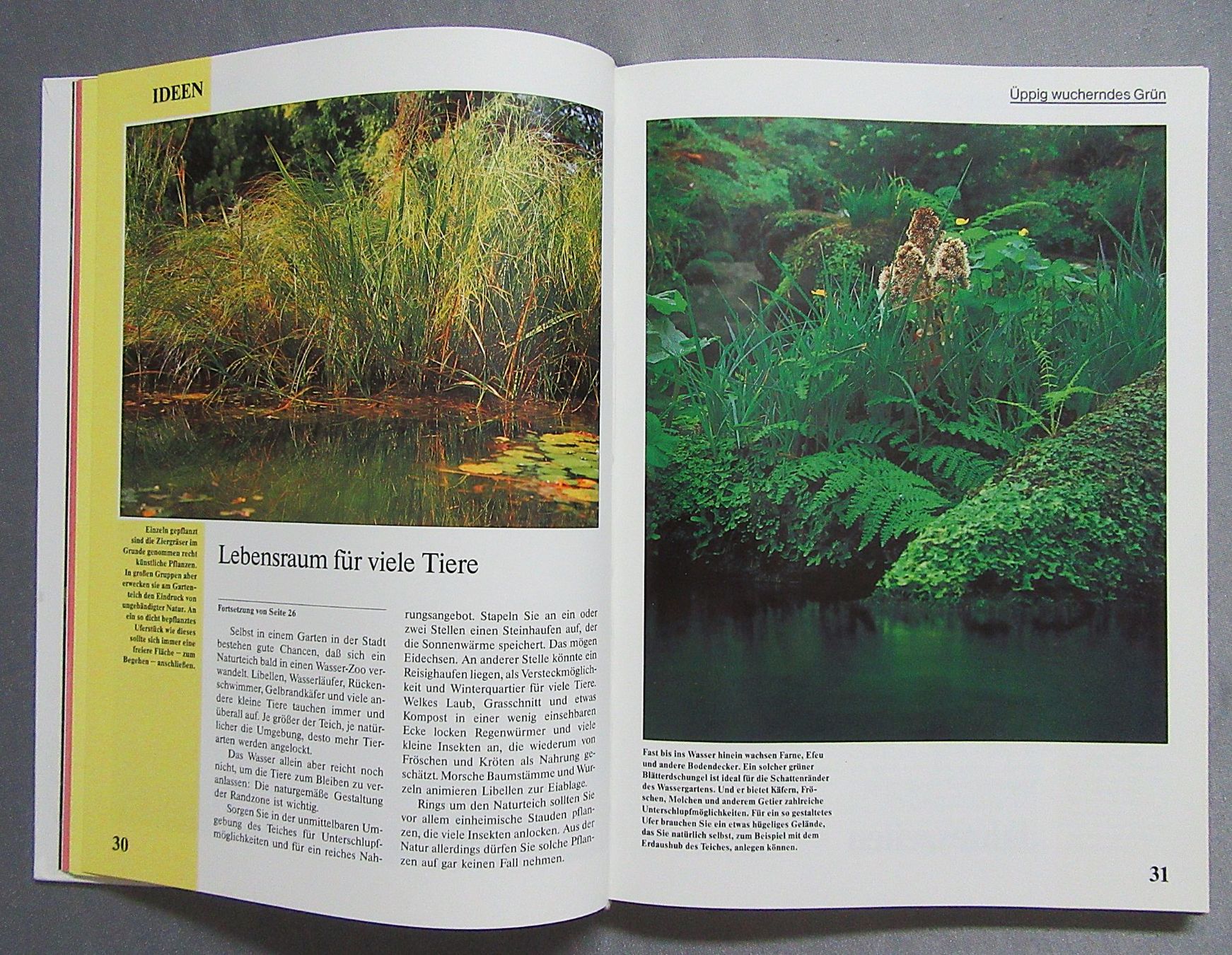 Libri: Der Wassergarten - Teiche • Bäche • Pflanzen • Tiere – Usato da Auenstein venduto da Padabimbim 4