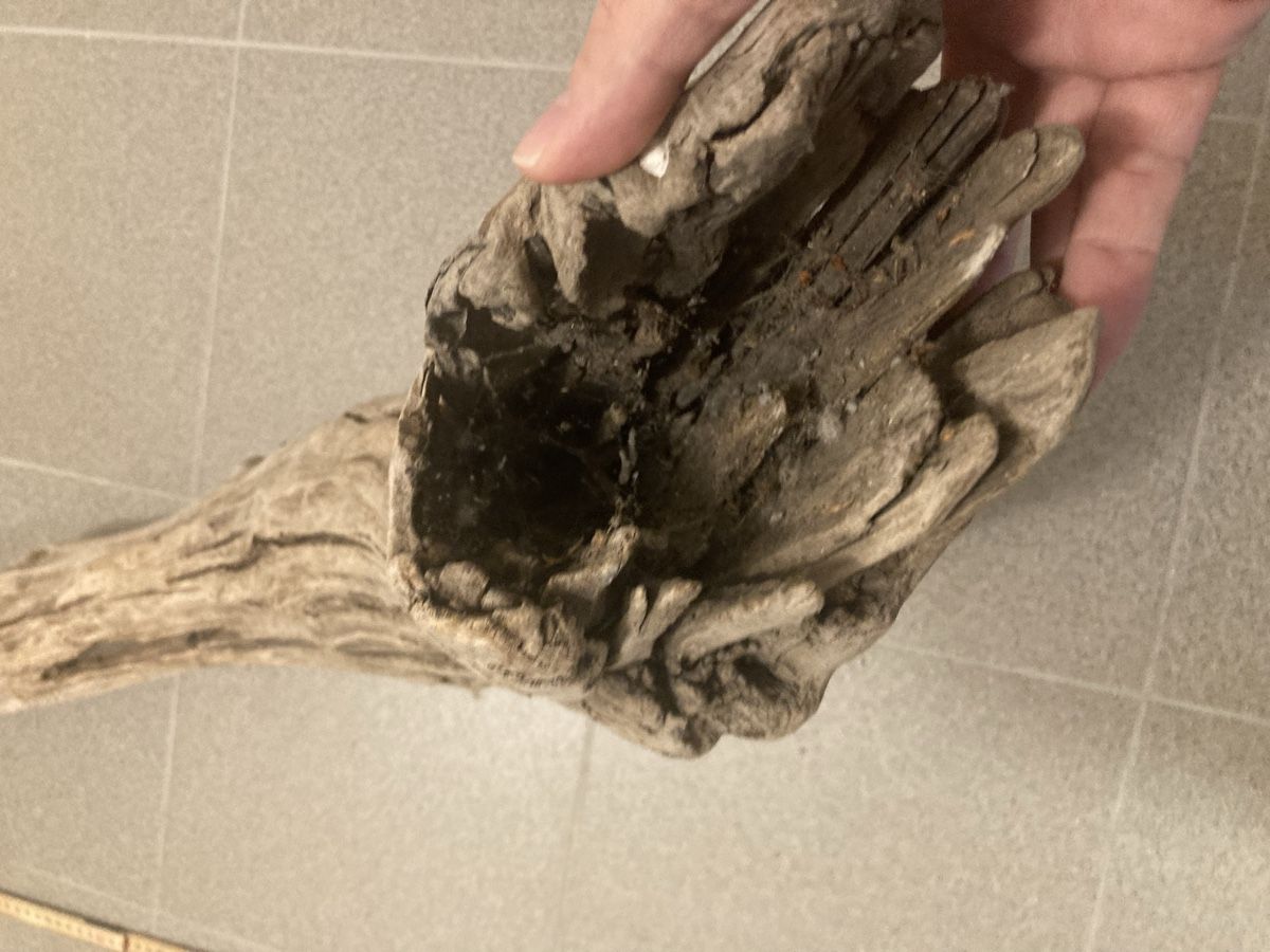 Holzartikel: Schwemmholz – Gebraucht aus Staad SG von gab_7dr9 3