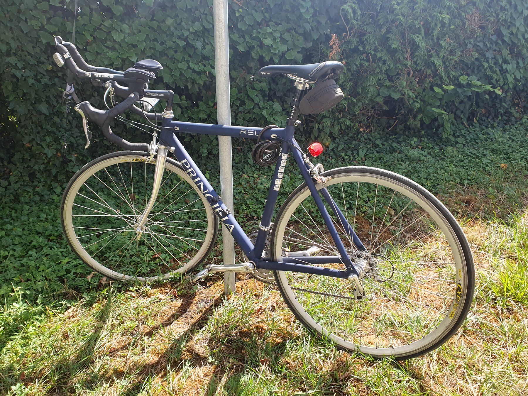 Biciclette: Rennrad Principia RSL – Usato da Bremgarten AG venduto da Yxudvzfiu
