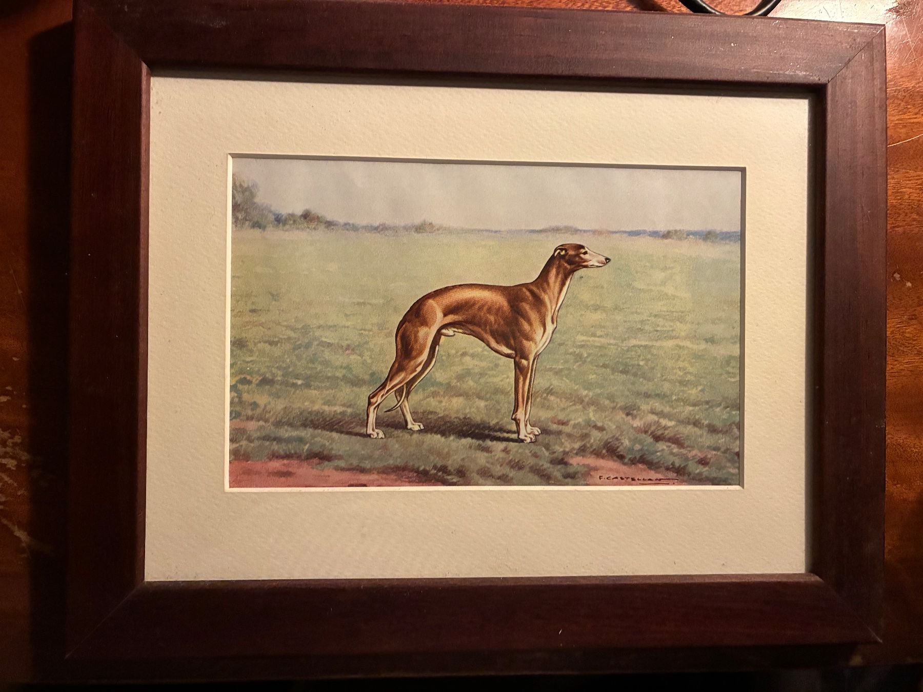 Tableaux: Ancien tableau levrier Whippet – D'occasion à Paudex par micinque