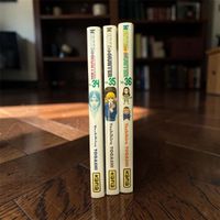 Manga Hunter x Hunter Tomes 34, 35, 36 KANA