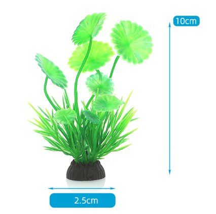 Acquari: Plante d'aquarium - Vert - 10cm – Nuovo e nell'imballaggio originale da Corcelles-près-Payerne venduto da dag_7pn2