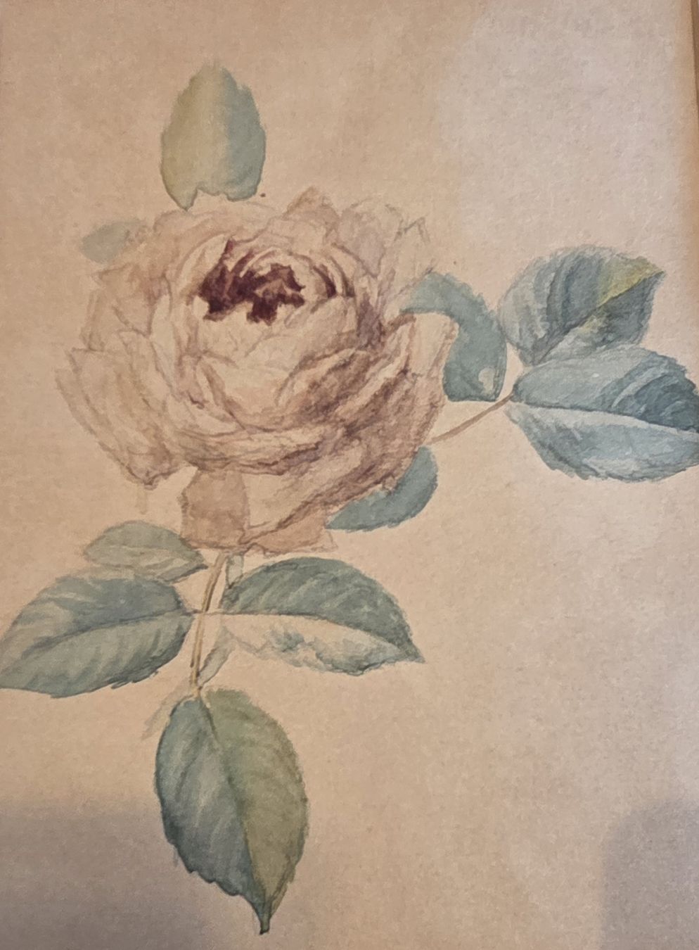 Dipinti: Original Aquarell Rose handgeschöpftes Papier – Usato da Rehetobel venduto da hobirot01 7