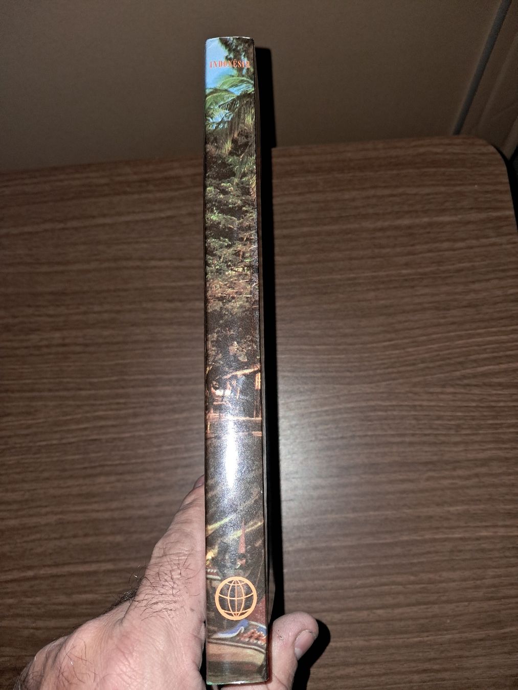 Libri: Livre sur l'indonesie – Usato da Le locle venduto da juliensaran 3
