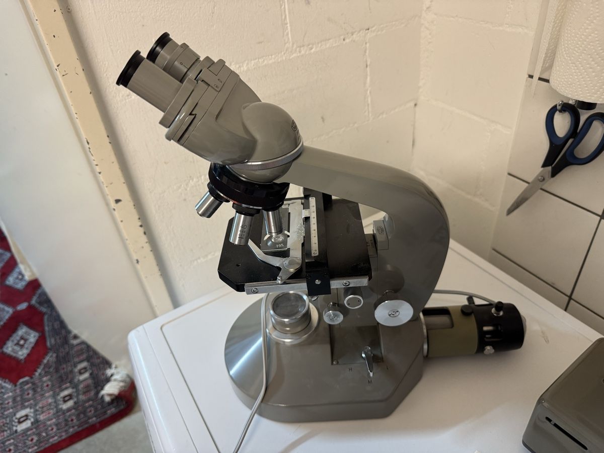 Olympus Microscopi: olympus eh mikroskop – Usato da Zunzgen venduto da milesdavis76 4