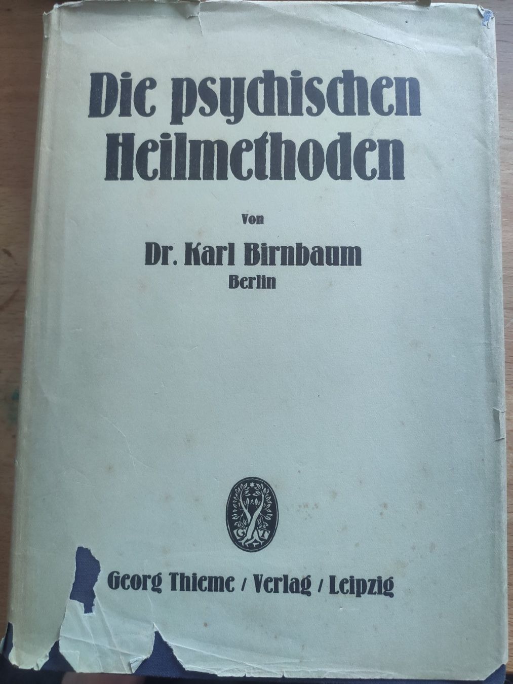 : Die psychischen Heilmethoden, Karl Birnbaum, 1927 – Usato da Zürich venduto da typish