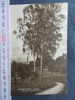 FRAUENFELD 1912  STRASSE NACH GERLIKON TG AK