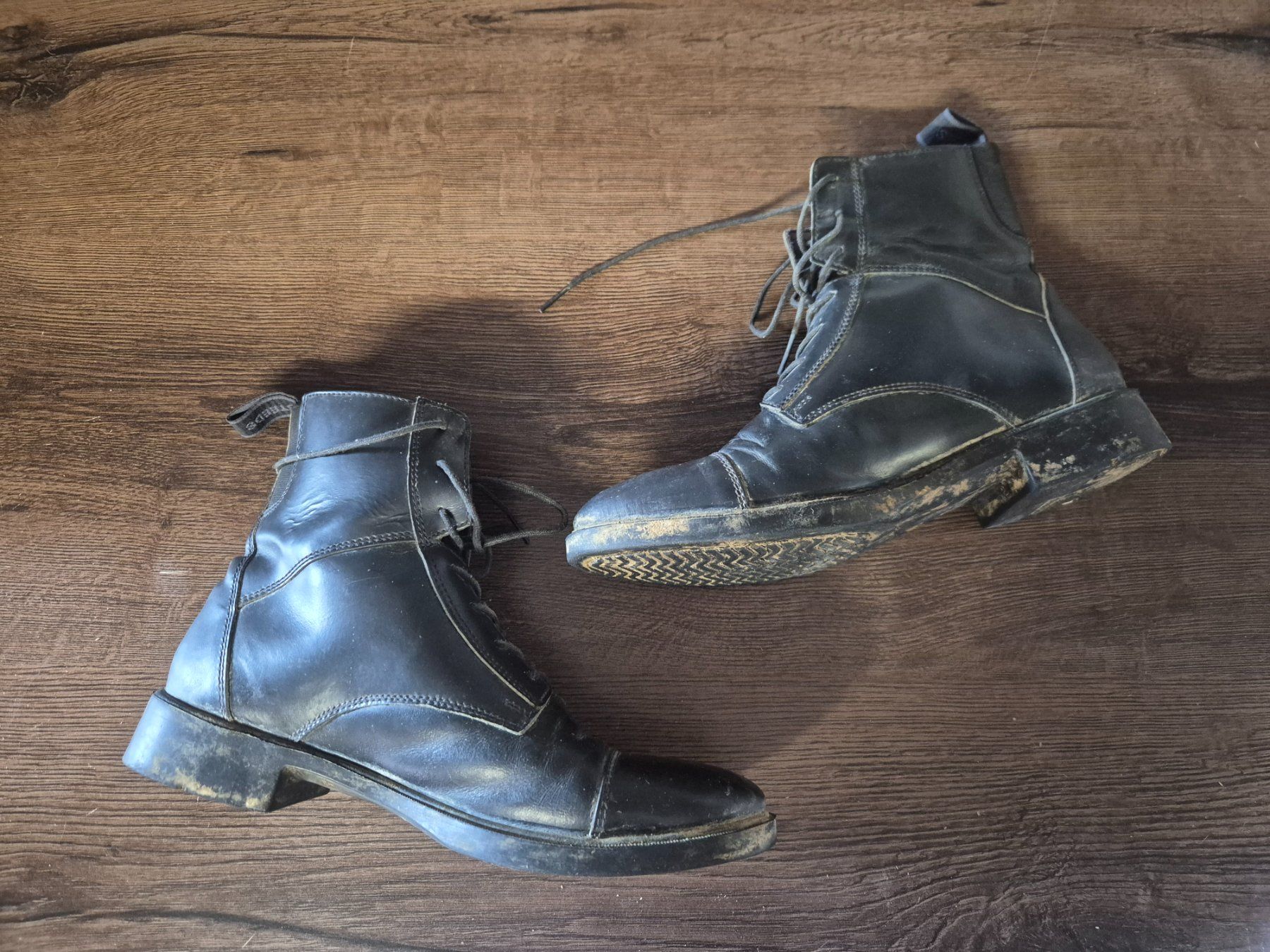 Brides, licols: Reitstiefeletten / Bottinen 39 – Neuf (Voir description) à Meggen par Orrinka20 1