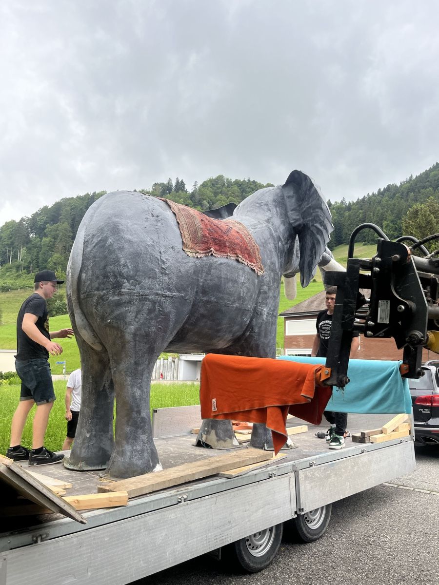 Statuette: Elefant Riesengross 4x3 Meter gross – Usato da Walde SG venduto da buenzli-1 6