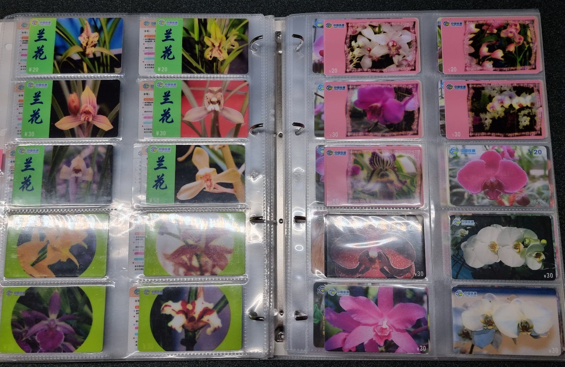 Album: Album 4 silber Telefonkarten Orchideen – Usato da Lostorf venduto da Dalbi 4